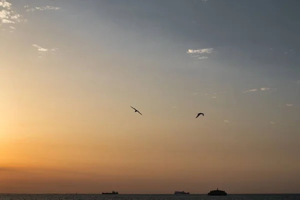 Uma Cena Pássaros Voando Sobre Mar Navios Durante Pôr Sol — Fotografia de Stock