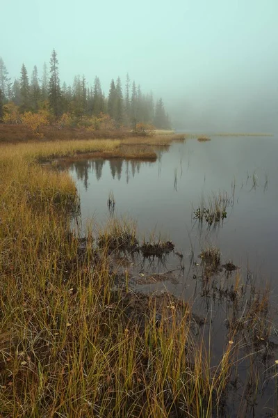 Ένα Κάθετο Πλάνο Του Δάσους Svartdalstjerna Φθινόπωρο Μια Λίμνη Και — Φωτογραφία Αρχείου