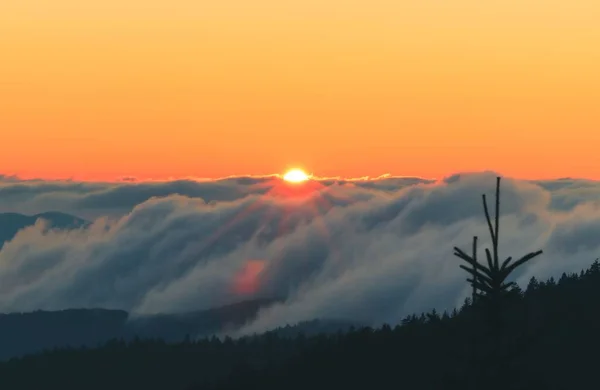 Landskapsutsikt Över Solnedgången Great Smoky Mountains Nationalpark — Stockfoto