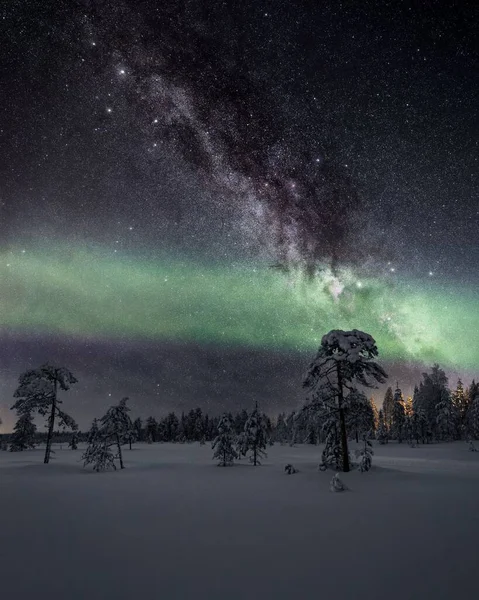 芬兰拉普兰科拉里雪地冷杉林中星空中的极光垂直拍摄 — 图库照片
