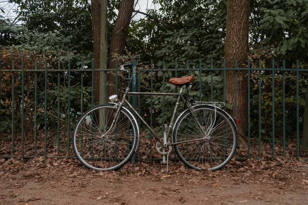 在一个宁静的公园里 一辆老式自行车停在一棵大树前的大门口 — 图库照片