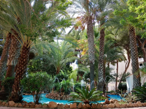 Ein Park Mit Pool Umgeben Von Exotischen Bäumen Málaga Spanien — Stockfoto
