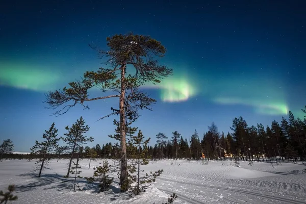 Una Vista Mozzafiato Dell Aurora Boreale Aurora Boreale Lapponia Finlandia — Foto Stock