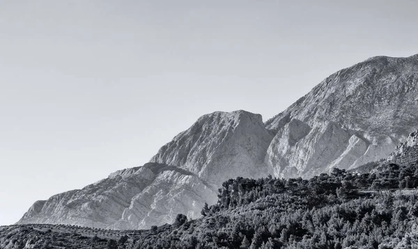 A black and white shot of a rocky mountain in a forest on a sunny day in cloudy sky background