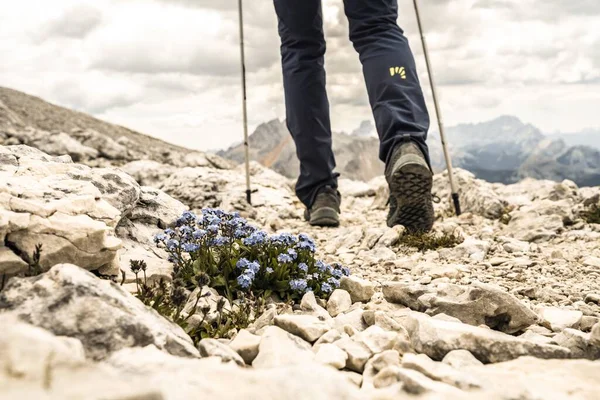 Young Woman Hiking Trail Seekofel Baires Lake Dolomite Mountains — Stock Photo, Image