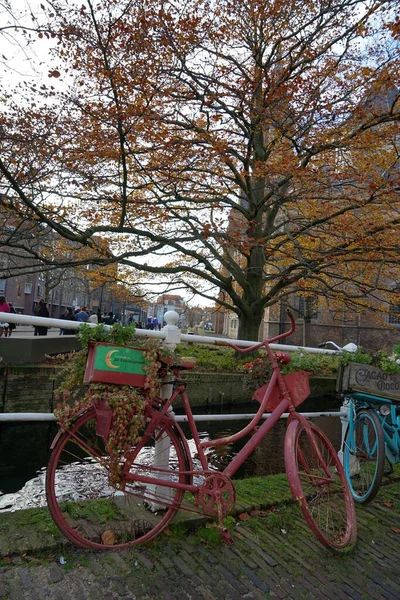 Delft Netherlands Usual Have Bikes Flowers — Stock Photo, Image