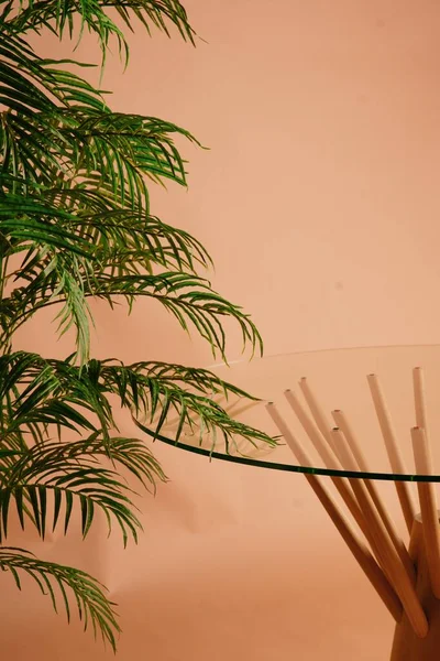 Tiro Estético Vertical Uma Planta Casa Lado Uma Mesa Vidro — Fotografia de Stock