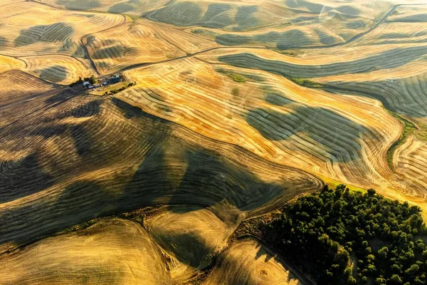日の出にワシントン州のパルース地域の丘陵地帯で黄金の小麦のフィールドの空中ショット — ストック写真
