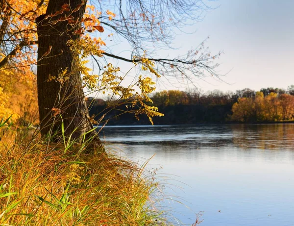 Красивый Снимок Реки Окруженной Цветными Осенними Деревьями — стоковое фото