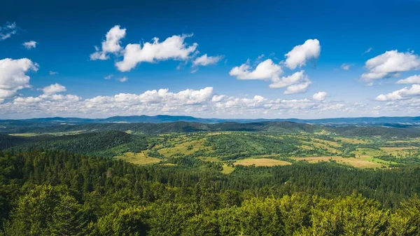 Polonya 'da güneşli bir yaz gününde Bieszczady dağlarının hava manzarası