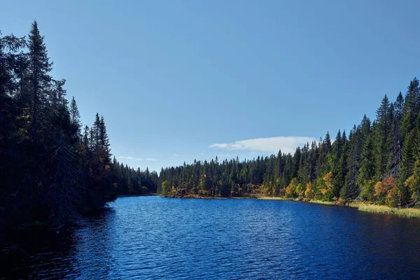 Lago Svartdal Stjerna Rodeado Por Árvores Durante Outono Totenaasen Hills — Fotografia de Stock