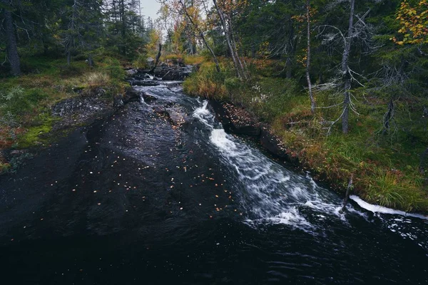 Egy Vízfolyás Totenaasen Hegység Svartdalstjerna Erdei Rezervátumában Ősszel Norvégiában — Stock Fotó