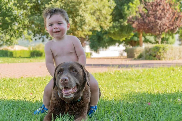 Крупним Планом Знімок Щасливого Хлопчика Собакою — стокове фото