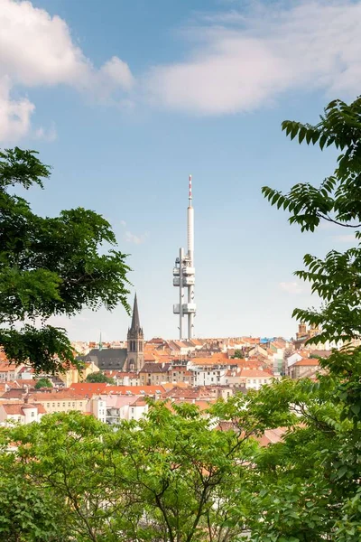 一个美丽的镜头布拉格的城市景观在阳光灿烂的一天 捷克共和国 垂直射击 — 图库照片