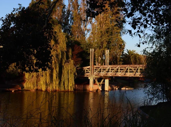Ponte Lago Circondato Alberi — Foto Stock