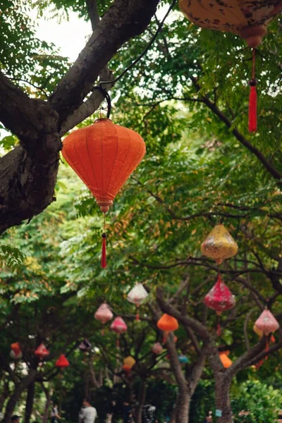Colpo Verticale Giardino Pieno Colorate Lanterne Tradizionali Cinesi Appese Rami — Foto Stock