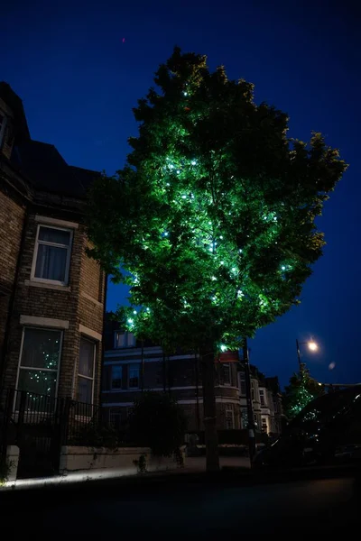 Vertikální Záběr Strom Ulici Zdobené Vánoční Světla — Stock fotografie