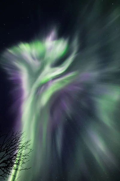 芬兰拉普兰莱维星空中的绿紫色极光垂直拍摄 — 图库照片