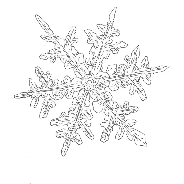 黒と白のシングルスノーフレークラインがデザインを描きました 冬にインスパイアされたスノーフレークデザイン 白い背景に隔離された雪の結晶 — ストック写真