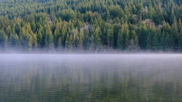 日中は緑の木々に囲まれた霧深い森に囲まれた穏やかな湖 — ストック写真