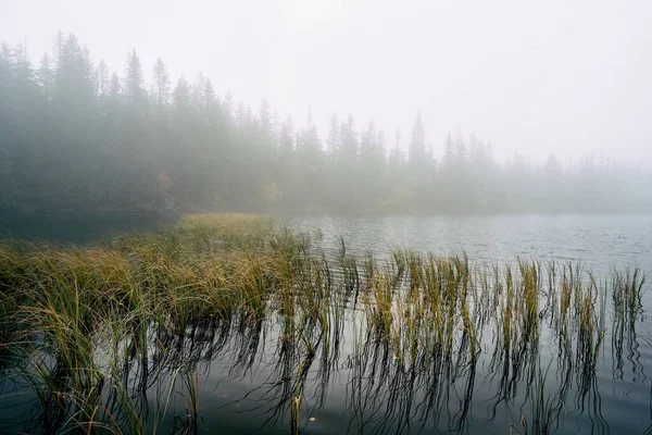 Une Vue Sur Lac Dans Une Brume Épaisse Avec Des — Photo