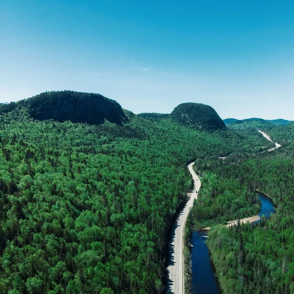 Krásný Výhled Cestu Lesem Zelenými Stromy Řekou Pod Jasnou Oblohou — Stock fotografie