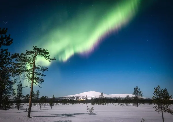 Дивовижний Вид Північне Сяйво Або Аврору Бореаліс Лапландії Фінляндія — стокове фото
