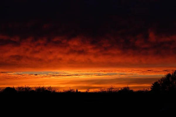Вид Огненный Закат Оранжевыми Облаками Силуэтами Деревьев — стоковое фото