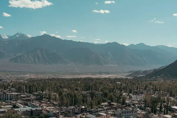 Antenn Skott Ett Berg Leh Ladakh — Stockfoto