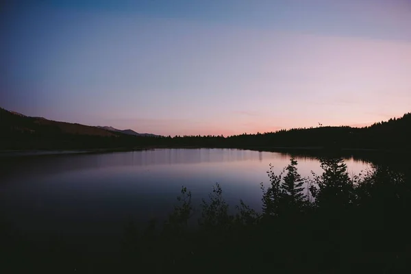 ピンクと青の空の下に植物のシルエットに囲まれた静かな湖の風光明媚なショット — ストック写真
