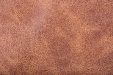 A full frame background and natural cowhide texture with copy space clipart