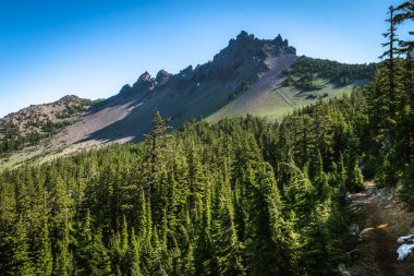 Yoğun ağaçlarla çevrili dağ manzarası.