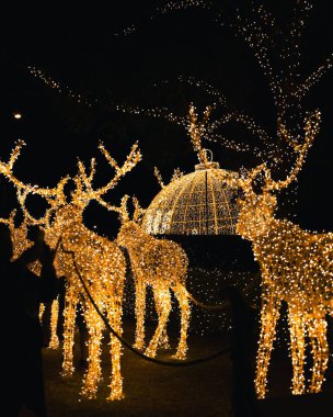 Geceleyin bir şehirde aydınlatılmış Noel geyiği süslemelerinin dikey çekimi.