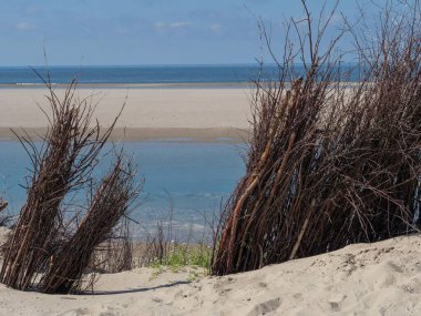 Almanya 'daki Spiekeroog adasında, açık gökyüzünün altında bir kum tepesi üzerinde kuru dallar ve çimenler.