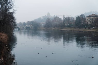 Soğuk ve sisli bir günde huzurlu bir parkın içinden akan bir nehir.