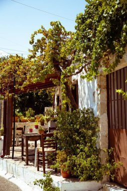 Bir evin duvarındaki kırpılmamış çalıların dikey çekimi.