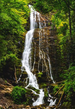 Mingo Şelalesi 'nin Great Smoky Dağları Ulusal Parkı' ndaki dikey görüntüsü.