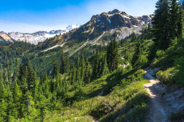 Yoğun ağaçlarla çevrili dağ manzarası.