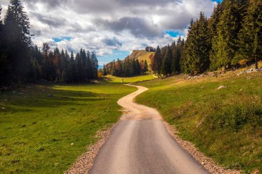 Bulutlu gökyüzüne karşı yeşil bir tarladan geçen toprak bir yol.