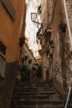 İtalya 'nın Manarola, Cinque Terre kıyı kasabasında dar bir merdiven ve eski taş binalar.