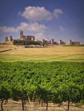 Güneşli bir günde Artajona kasabasının dikey görüntüsü.