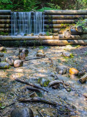 Tahta gövdelerden akan bir şelalenin dikey görüntüsü.