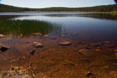 Kayalar açık bir gölün dibinde görülür. Sahilde çimenler ve ufukta bir orman vardır.