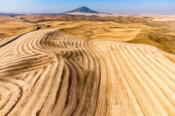 日出时分 华盛顿州帕卢斯地区起伏的山丘上的一片金色麦田被空中拍了下来 — 图库照片