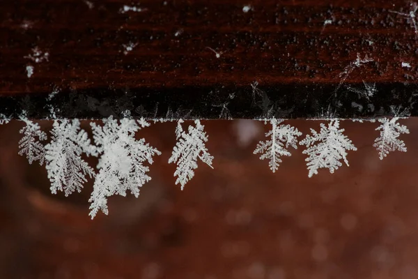 Close Flocos Neve Pendurados Uma Madeira Livre — Fotografia de Stock