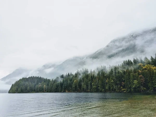 Lac Liniștit Înconjurat Pădurea Cețoasă Munți Timpul Zilei — Fotografie, imagine de stoc