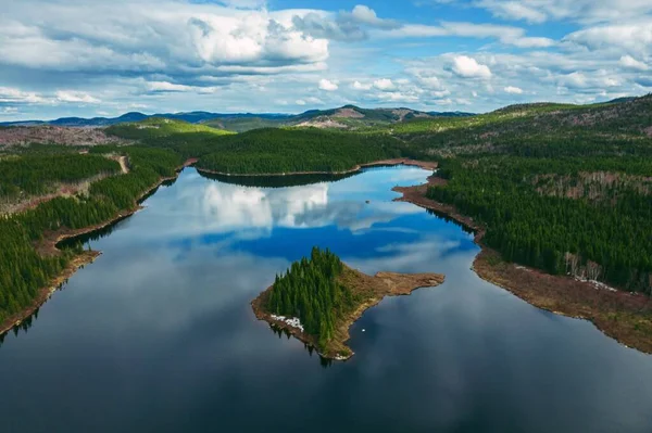 Красивий Вид Відбиваюче Озеро Ліс Зеленими Деревами Під Час Сходу — стокове фото