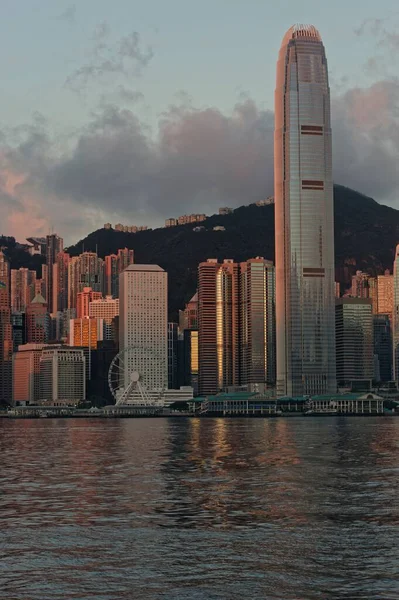 可俯瞰中国香港天际线的清晨垂直景观 — 图库照片