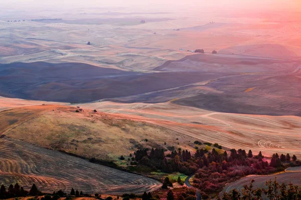 Piękny Kolorowy Widok Pole Pszenicy Toczącą Się Nawierzchnią Wzgórza — Zdjęcie stockowe
