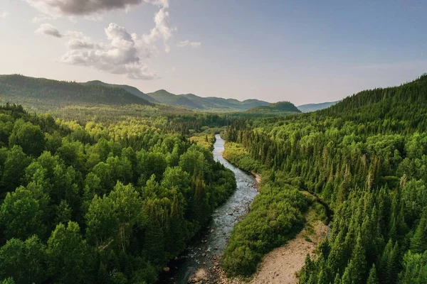 Smal Flod Mellan Träd Och Grönska Med Berg Bakgrunden Molnig — Stockfoto